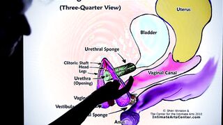 HOW TO SQUIRT ?! Explained FAST !!! Mr PussyLicking