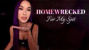 Homewrecked For My SPIT