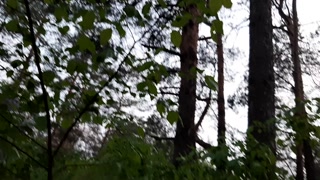 Pov Public - lesbian_illusion