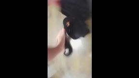 Caught My Wife Cheating &ndash_ This Is the Real Footage