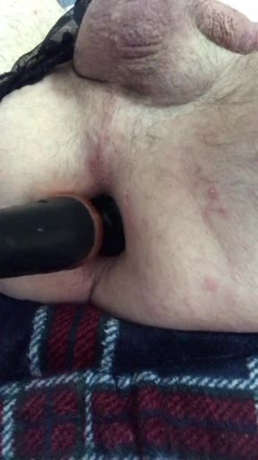 Gaping rose bud