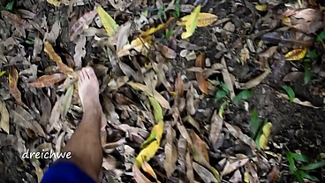Feeding plants and flowers of the field