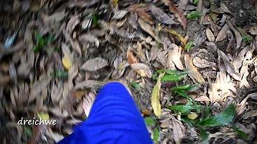 Feeding plants and flowers of the field