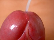 Beautiful Cock in Close Up /// Jordan Wilder