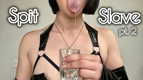 Spit slave