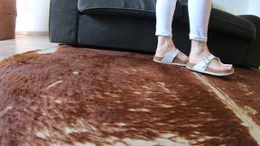 Birkenstock Couch