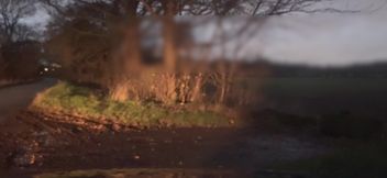 Naked and barefoot hiding from passing cars wanking and twerking