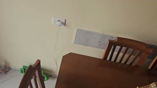 Mommy Fisted, anal gaped, and degraded with anal