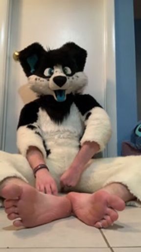 Furry shows off feet &amp; fucks a plushie
