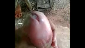 VID-20141204-WA0019 1