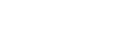 Summer in the office