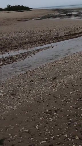 On the Beach