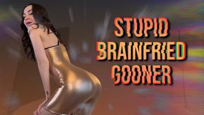 Stupid Brainfried Gooner