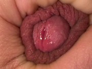PRECUM PLAY - MACRO VIEW 1 | VANYA VENIKOV