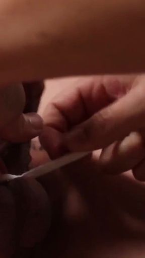 No.ksgh03 Climax Labs Ep.44 Controlled Sven-type Boys with Obvious Slavery and a Desire to Be Shamefully Conditioned. Ep.1-5