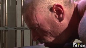 Muscular older man gets his asshole pounded deep and creampied by a young dude with pierced cock