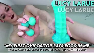 My First Ovipositor Lays Eggs In Me