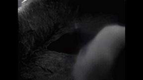 Hump Masturbation Black and White with the First Real Webcam in 1996