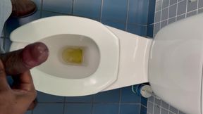 Jerking off in the Office Washroom