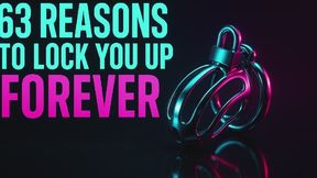 63 Reasons to Lock You Up Forever