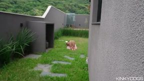 Get an Inside Look: Sneaky Moments with My Stunning Neighbor
