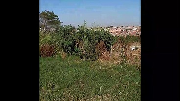 travesti do pau grande perdida no mato, Sabrina Prezotte travesti brasileira gozando gostoso