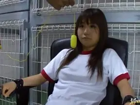 Shizuku Hasegawa gets down to kinky business!