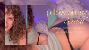 Pillow Pussy Denial — Pussy-free Forever