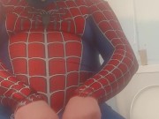 Spider wolf mums again