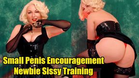 Small Penis Encouragement and Newbie Sissy Training (720p)