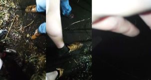 Muddy Adidas Sneaker Bros Cum Gushing Puddle Destroy