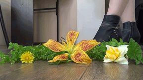 TOE TAPPING AND CRUSH FLOWERs 4CR