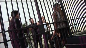 carolyn reese, jasmine webb and poppy morgan get rammed full of dick in amazing orgy