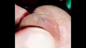 Morena&ccedil_o Belzebu