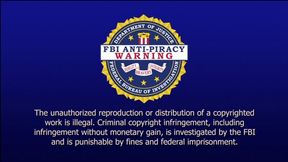 HP-973 Wonder Booty - HD