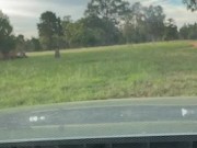 Public park crossdressing