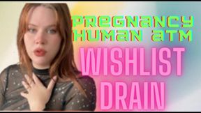 Pregnancy wishlist Financial Drain