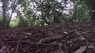 Nude ejaculation in the park!