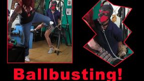 Ballbusting a Pussy Bitch