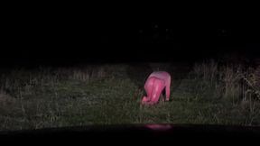Pink Latex Petplay Outdoor Sissy