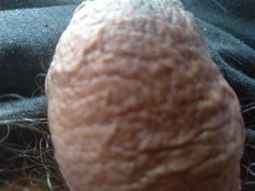 gay man touches himself to erect his great penis
