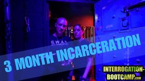 Three month incarceration mp4