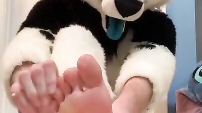 Furry shows off feet & fucks a plushie