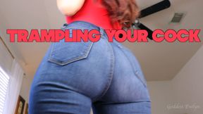 Trampling Your Cock