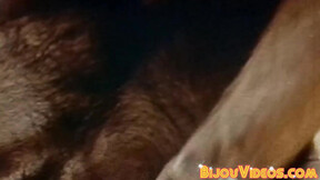 ”Retro gay porn horny muscle men big dick sucking sixtynine”