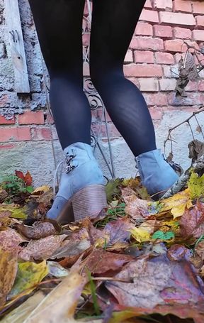 A Beautiful Autumn Day