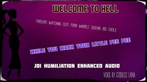 welcome to hell small penis humiliation by goddesslana