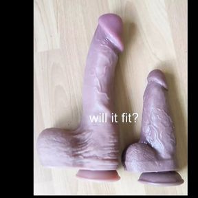 The new dildo