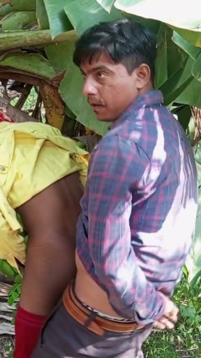 Indian Beautiful Shemale - Shemale and Shemale Boyfrends Have Sex In Banana Garden - Desi Movies In Hindi   Clip 1