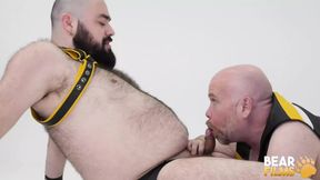 BEARFILMS Bear Bearsilien And Steve Brody Fingering Session